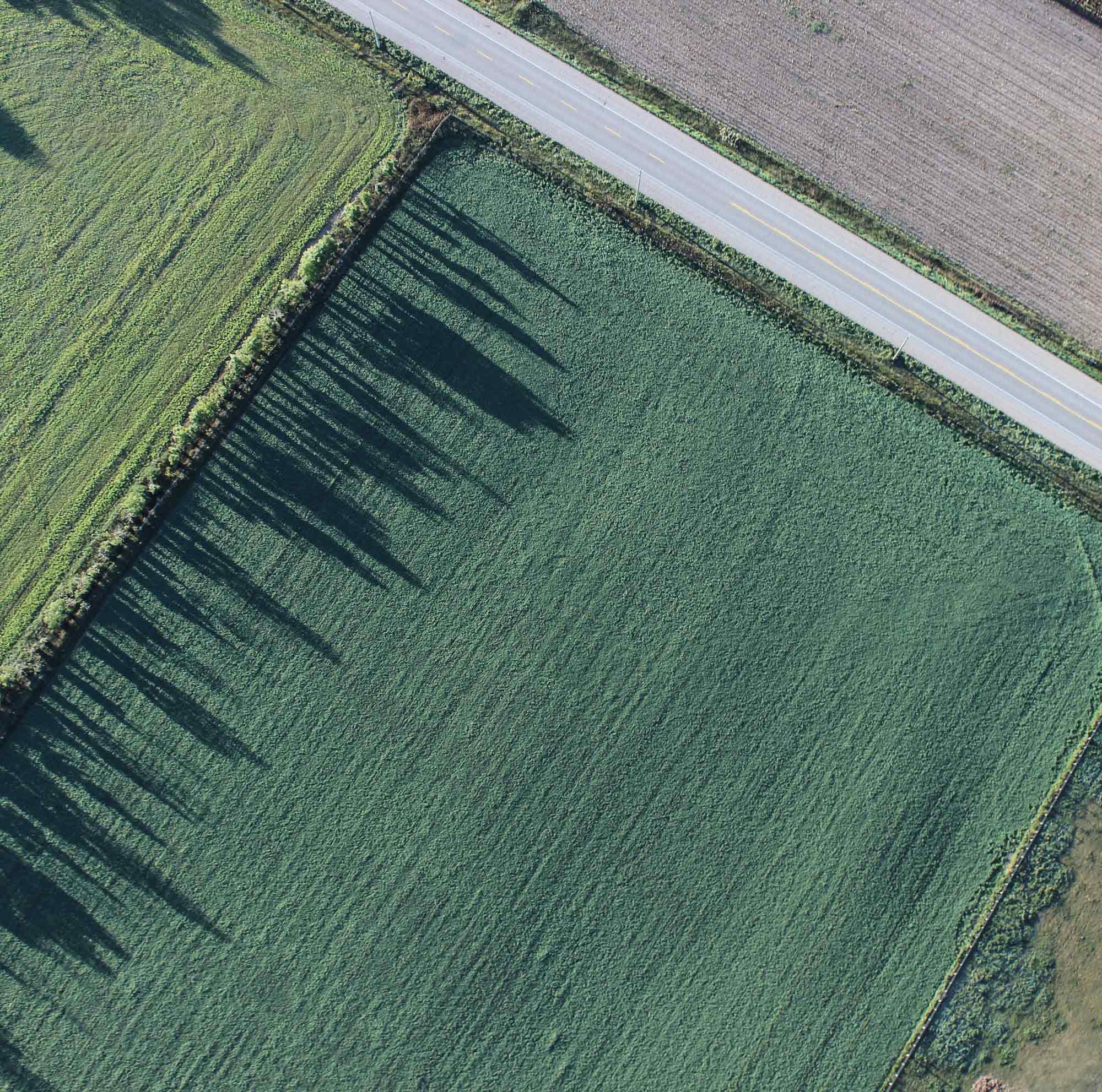 An aerial view of a field. A road runs through the upper right corner.